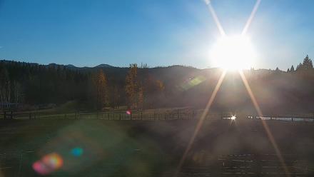 Greenhorn Ranch Live Horse Arena Cam - Nov 18, 2025, 4:16pm PST