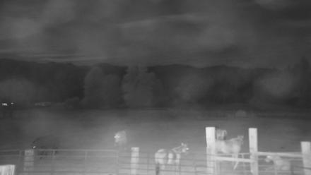 Greenhorn Ranch Live Horse Arena Cam - Oct 31, 2025, 10:01pm PDT