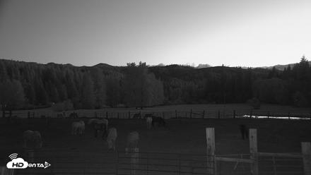 Greenhorn Ranch Live Horse Arena Cam - May 5, 2026, 8:40pm PDT