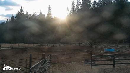 Greenhorn Ranch Live Horse Arena Cam - Sep 5, 2026, 6:50pm PDT