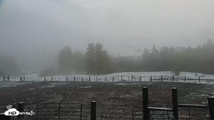 Greenhorn Ranch Live Horse Arena Cam - Apr 12, 2026, 7:31pm PDT