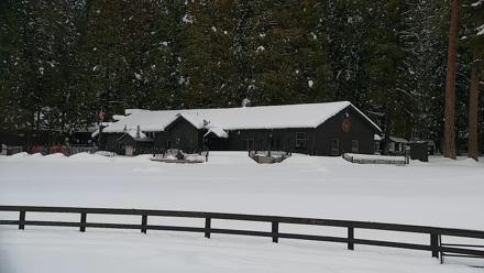 Greenhorn Ranch Live Horse Arena Cam - Feb 20, 2026, 5:33pm PST