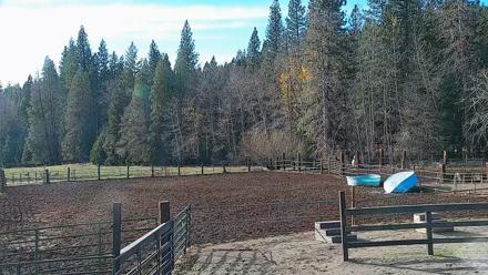 Greenhorn Ranch Live Horse Arena Cam - Nov 15, 2025, 2:21pm PST