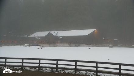 Greenhorn Ranch Live Horse Arena Cam - Apr 12, 2026, 7:31pm PDT