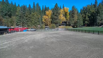 Greenhorn Ranch Live Horse Arena Cam - Oct 27, 2025, 11:40am PDT