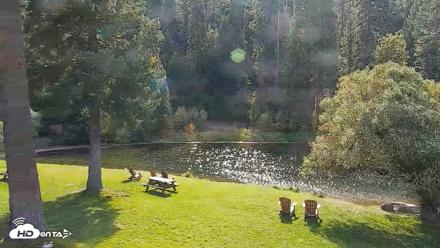 Greenhorn Ranch Live Horse Arena Cam - Sep 25, 2026, 10:50am PDT