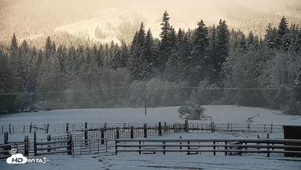 Greenhorn Ranch Live Horse Arena Cam - Apr 12, 2026, 8:34am PDT