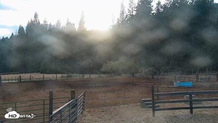 Greenhorn Ranch Live Horse Arena Cam - Sep 5, 2026, 6:50pm PDT