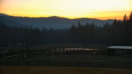 Greenhorn Ranch Live Horse Arena Cam - Jan 28, 2026, 5:46pm PST