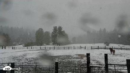 Greenhorn Ranch Live Horse Arena Cam - Apr 12, 2026, 12:05pm PDT