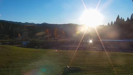 Greenhorn Ranch Live Horse Arena Cam - Nov 18, 2025, 4:16pm PST