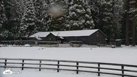 Greenhorn Ranch Live Horse Arena Cam - Apr 12, 2026, 8:34am PDT