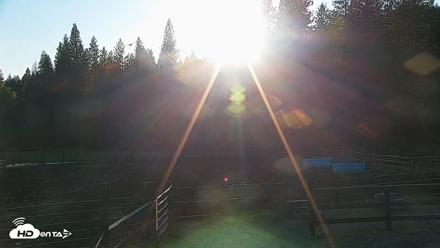 Greenhorn Ranch Live Horse Arena Cam - Apr 13, 2026, 6:51pm PDT