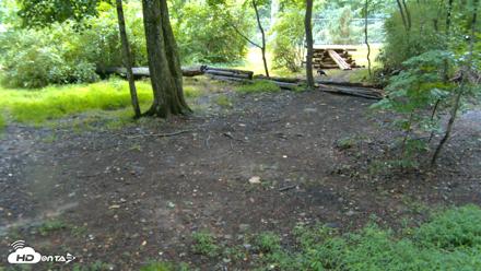 Red Wolves Live Webcam at the Wolf Conservation Center - Jul 30, 2026, 8:15am EDT
