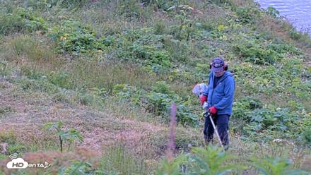 Kodiak Alaska Brown Bears Live Webcam - Aug 2, 2026, 11:11am AKDT