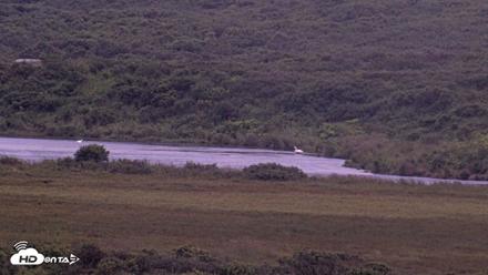 Kodiak Alaska Brown Bears Live Webcam - Aug 16, 2026, 9:24pm AKDT