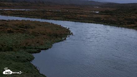 Kodiak Alaska Brown Bears Live Webcam - Oct 5, 2026, 7:56am AKDT