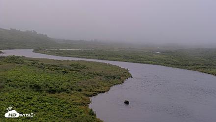 Kodiak Alaska Brown Bears Live Webcam - Aug 9, 2026, 8:46am AKDT