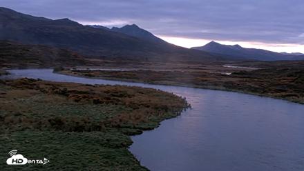 Kodiak Alaska Brown Bears Live Webcam - Oct 8, 2026, 8:08am AKDT
