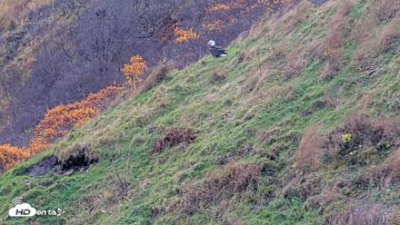 Kodiak Alaska Brown Bears Live Webcam - Oct 14, 2026, 1:47pm AKDT
