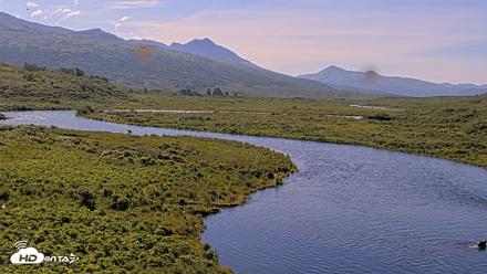 Kodiak Alaska Brown Bears Live Webcam - Jul 29, 2026, 10:39am AKDT