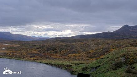 Kodiak Alaska Brown Bears Live Webcam - Oct 6, 2026, 2:20pm AKDT