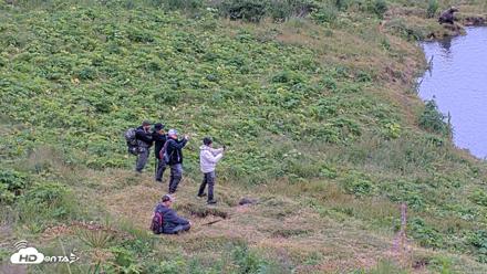 Kodiak Alaska Brown Bears Live Webcam - Aug 7, 2026, 2:16pm AKDT