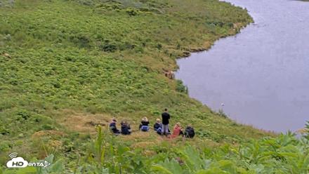 Kodiak Alaska Brown Bears Live Webcam - Aug 1, 2026, 10:02am AKDT