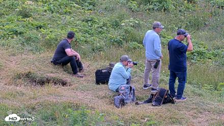 Kodiak Alaska Brown Bears Live Webcam - Aug 2, 2026, 12:17pm AKDT