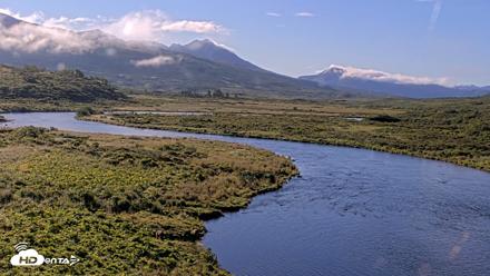 Kodiak Alaska Brown Bears Live Webcam - Aug 23, 2026, 9:32am AKDT