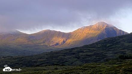 Kodiak Alaska Brown Bears Live Webcam - Aug 21, 2026, 8:10am AKDT