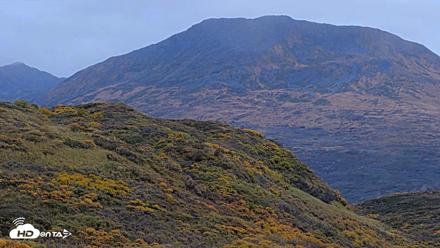 Kodiak Alaska Brown Bears Live Webcam - Oct 6, 2026, 2:15pm AKDT
