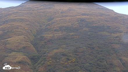 Kodiak Alaska Brown Bears Live Webcam - Oct 8, 2026, 9:54am AKDT