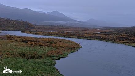 Kodiak Alaska Brown Bears Live Webcam - Oct 5, 2026, 8:27am AKDT