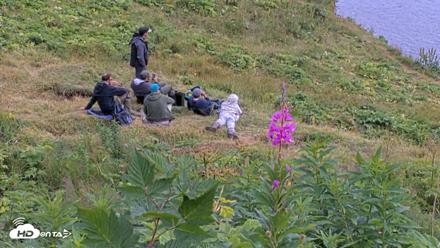 Kodiak Alaska Brown Bears Live Webcam - Aug 11, 2026, 4:33pm AKDT