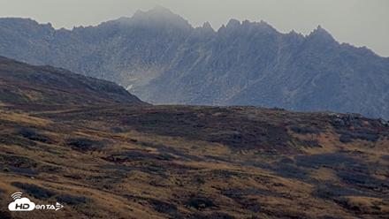 Kodiak Alaska Brown Bears Live Webcam - Oct 6, 2026, 2:17pm AKDT