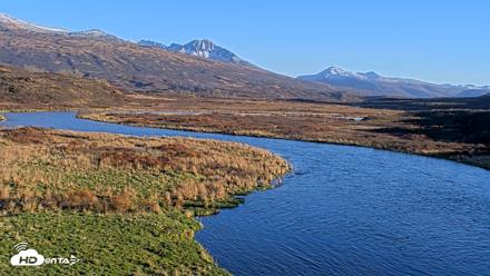 Kodiak Alaska Brown Bears Live Webcam - Oct 22, 2026, 5:24pm AKDT