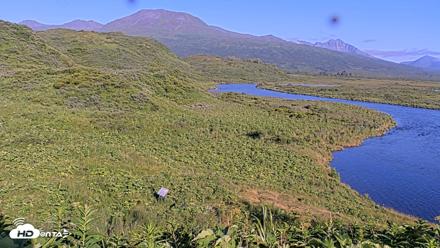 Kodiak Alaska Brown Bears Live Webcam - Jul 31, 2026, 7:23pm AKDT