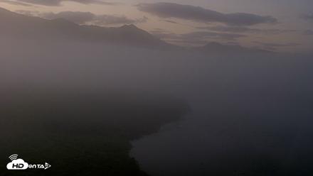 Kodiak Alaska Brown Bears Live Webcam - Aug 23, 2026, 6:39am AKDT
