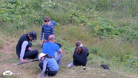 Kodiak Alaska Brown Bears Live Webcam - Aug 2, 2026, 3:09pm AKDT