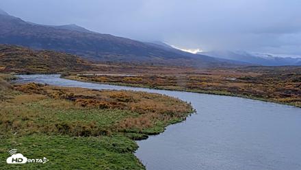 Kodiak Alaska Brown Bears Live Webcam - Oct 8, 2026, 10:13am AKDT