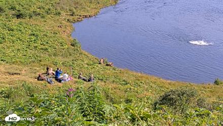 Kodiak Alaska Brown Bears Live Webcam - Aug 8, 2026, 4:30pm AKDT