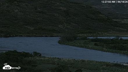 Kodiak Alaska Brown Bears Live Webcam - Jun 18, 2026, 12:28am AKDT
