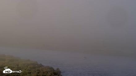 Kodiak Alaska Brown Bears Live Webcam - Jul 30, 2026, 7:24am AKDT