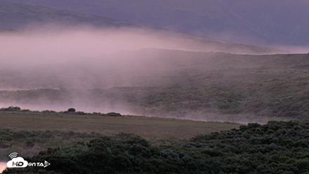 Kodiak Alaska Brown Bears Live Webcam - Aug 24, 2026, 6:56am AKDT