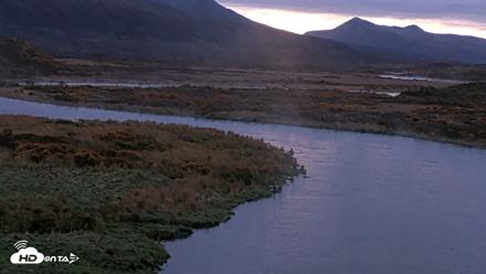 Kodiak Alaska Brown Bears Live Webcam - Oct 8, 2026, 8:08am AKDT