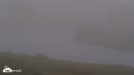 Kodiak Alaska Brown Bears Live Webcam - Aug 2, 2026, 8:01am AKDT