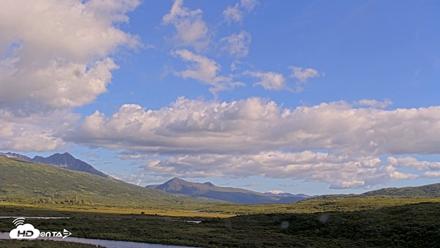 Kodiak Alaska Brown Bears Live Webcam - Aug 23, 2026, 6:05pm AKDT