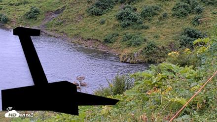 Kodiak Alaska Brown Bears Live Webcam - Aug 19, 2026, 4:36pm AKDT
