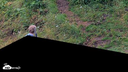 Kodiak Alaska Brown Bears Live Webcam - Aug 7, 2026, 7:53am AKDT